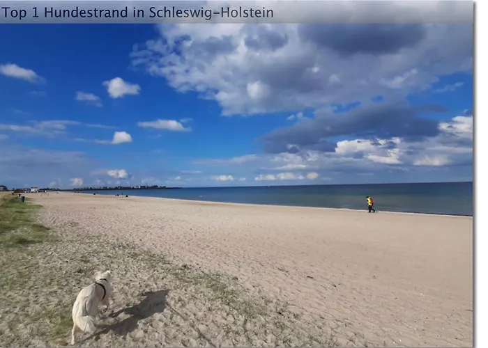 شقة Der Kuestengruss *